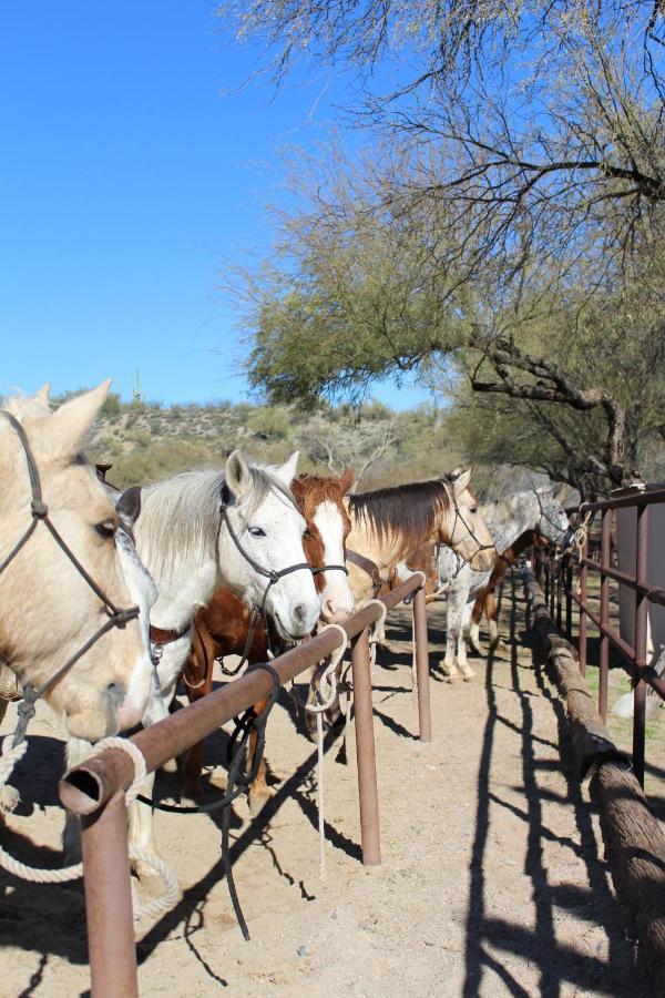 Kay El Bar Guest Ranch Hotel Wickenburg Buitenkant foto